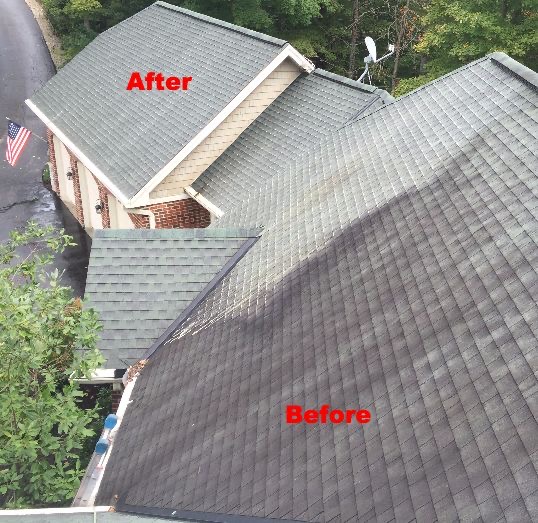 Roof soft wash · Before & After