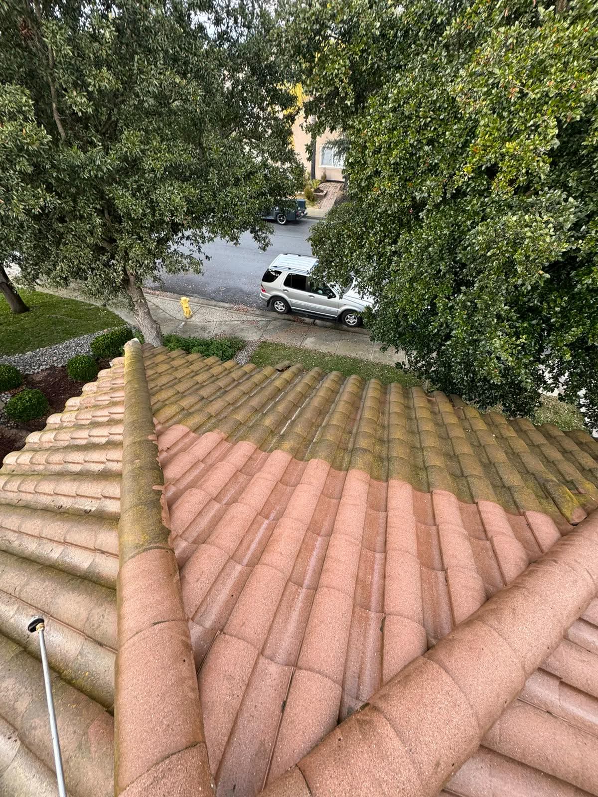 Tile roof cleaning — before and after, San Francisco Bay Area