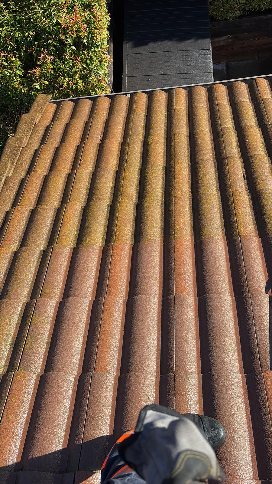 Tile roof · San Mateo